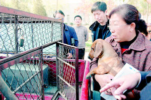 北京市养犬管理规定